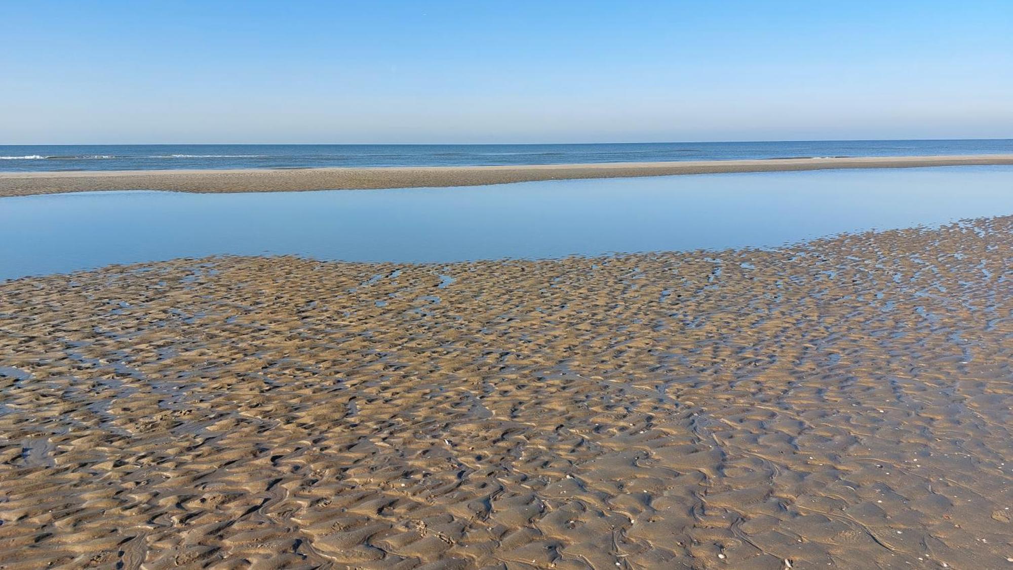 Apartment Zeelucht Zandvoort